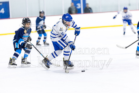 Rockford Hockey Club vs Mammoth 10-27-2024-1270
