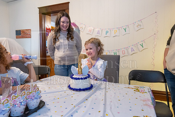 Brinley's 3rd Birthday Party 2-9-2025-1721