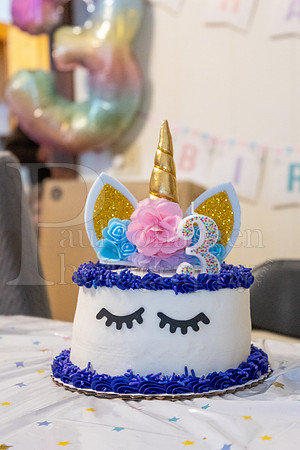 Brinley's 3rd Birthday Party 2-9-2025-1698