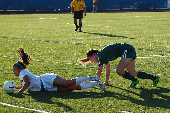 Boylan Girls Varsity Soccer vs Lk Forest SuperSectional 6-3-2014-2079