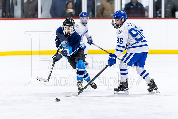 Rockford Hockey Club vs Mammoth 10-27-2024-1544