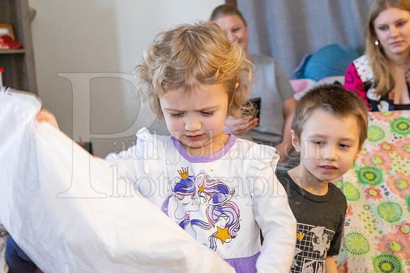 Brinley's 3rd Birthday Party 2-9-2025-1625