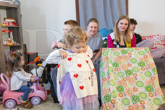 Brinley's 3rd Birthday Party 2-9-2025-1630