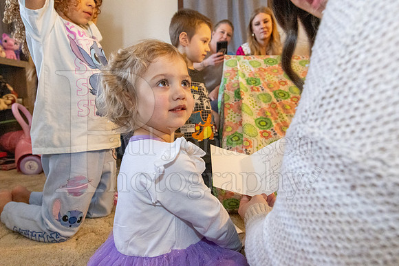 Brinley's 3rd Birthday Party 2-9-2025-1622