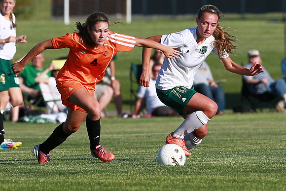 Boylan Girls Varisty Soccer vs Dekalb Sectional Final 5-30-2104-0199