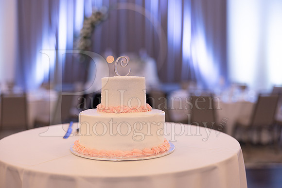 Hernandez Christopherson Wedding July 15 2023-2074
