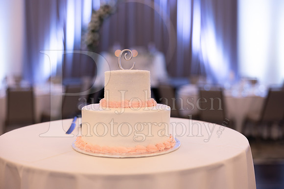 Hernandez Christopherson Wedding July 15 2023-2075
