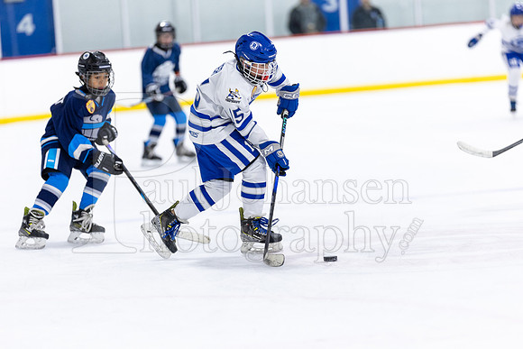Rockford Hockey Club vs Mammoth 10-27-2024-1269