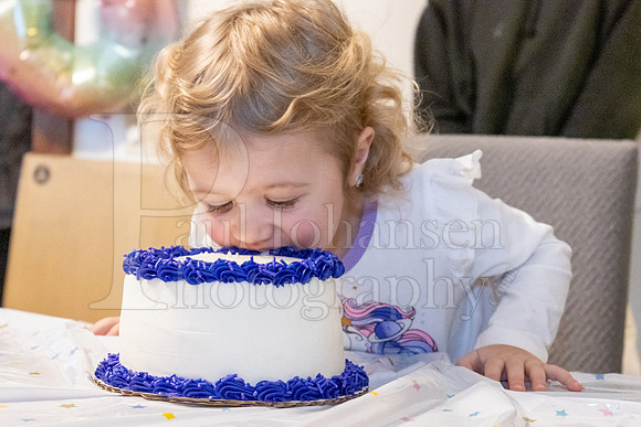 Brinley's 3rd Birthday Party 2-9-2025-1759