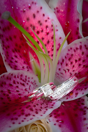 Troyer Wedding-8277a