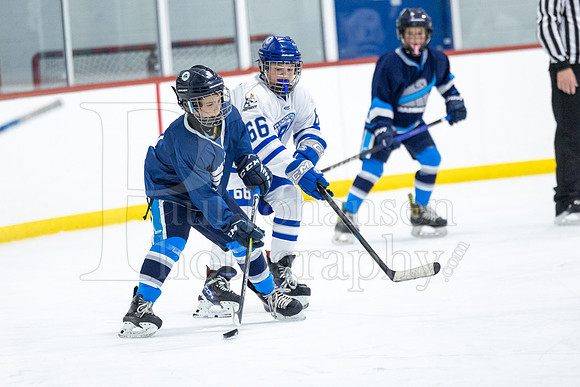 Rockford Hockey Club vs Mammoth 10-27-2024-0672