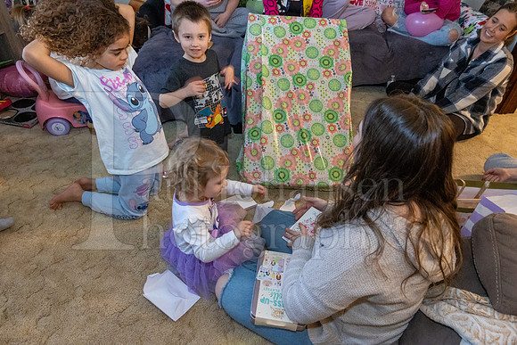 Brinley's 3rd Birthday Party 2-9-2025-1620