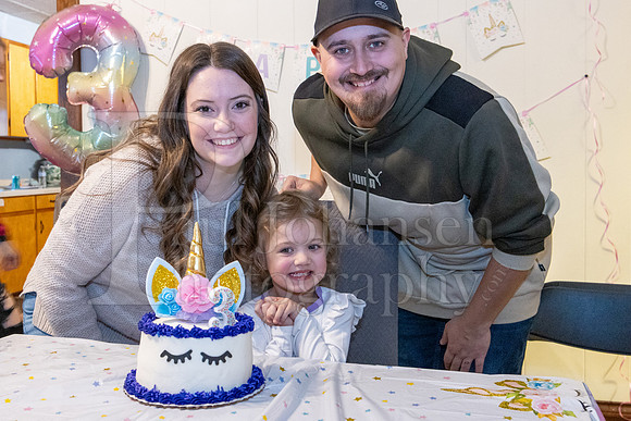 Brinley's 3rd Birthday Party 2-9-2025-1702