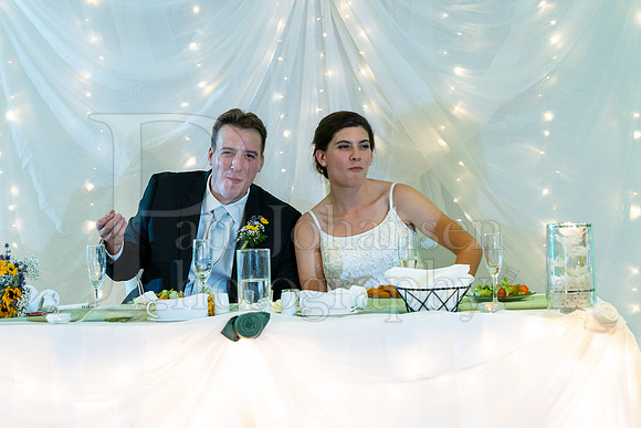 Delehanty Wedding 3-2024-1614