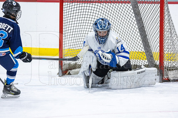 Rockford Hockey Club vs Mammoth 10-27-2024-0528