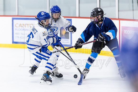 Rockford Hockey Club vs Mammoth 10-27-2024-1496