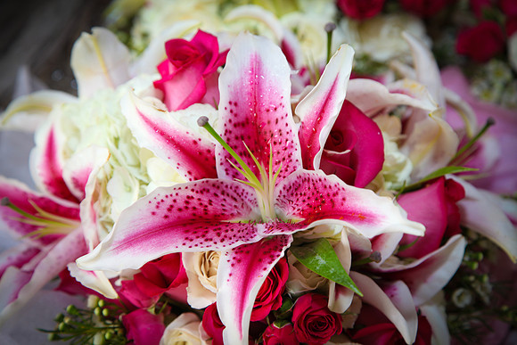 Troyer Wedding-8268