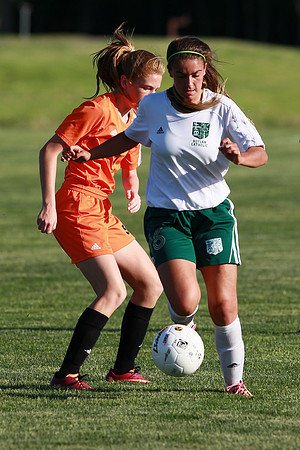 Boylan Girls Varisty Soccer vs Dekalb Sectional Final 5-30-2104-0286