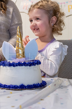 Brinley's 3rd Birthday Party 2-9-2025-1720