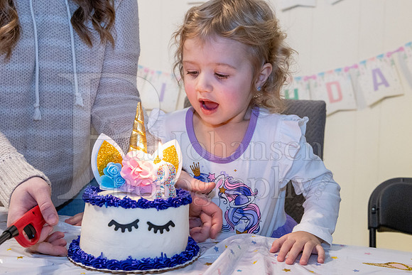 Brinley's 3rd Birthday Party 2-9-2025-1716