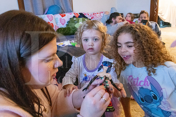 Brinley's 3rd Birthday Party 2-9-2025-1773