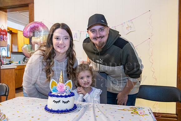 Brinley's 3rd Birthday Party 2-9-2025-1700