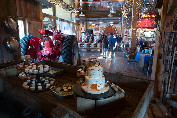 Bauman Stith Wedding 7-15-2017-1556