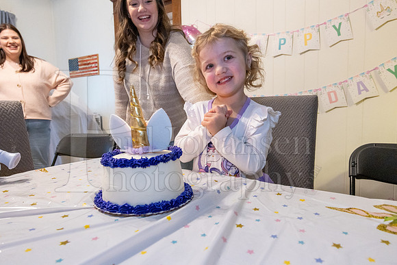 Brinley's 3rd Birthday Party 2-9-2025-1729