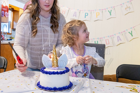 Brinley's 3rd Birthday Party 2-9-2025-1718