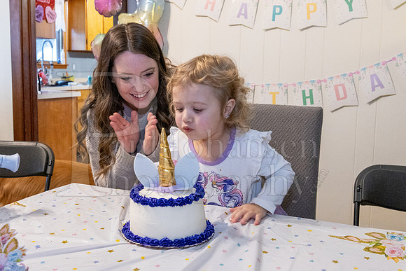 Brinley's 3rd Birthday Party 2-9-2025-1737