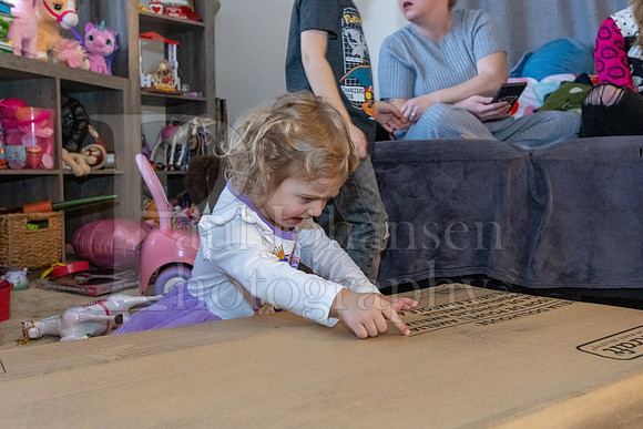Brinley's 3rd Birthday Party 2-9-2025-1647