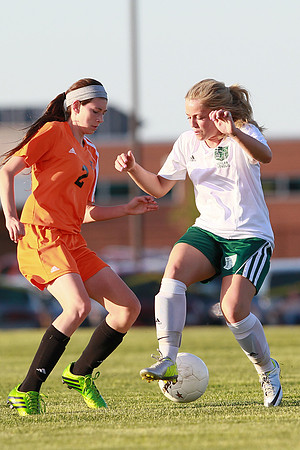 Boylan Girls Varisty Soccer vs Dekalb Sectional Final 5-30-2104-0819