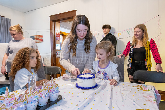 Brinley's 3rd Birthday Party 2-9-2025-1764