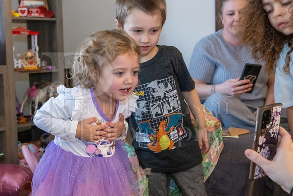 Brinley's 3rd Birthday Party 2-9-2025-1644