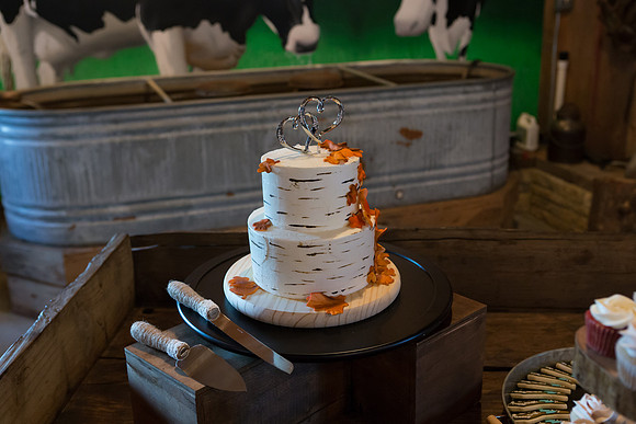 Bauman Stith Wedding 7-15-2017-1545