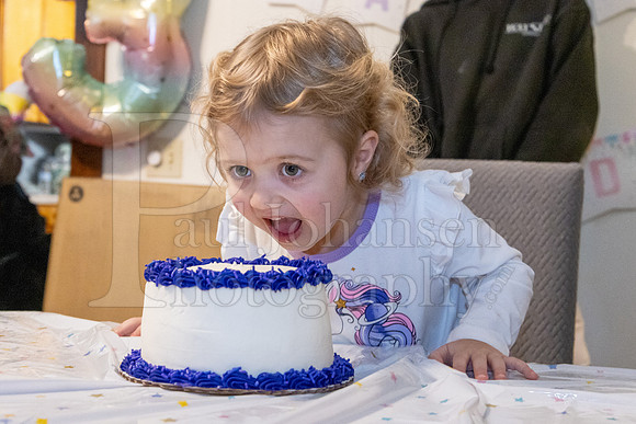 Brinley's 3rd Birthday Party 2-9-2025-1755