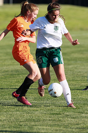Boylan Girls Varisty Soccer vs Dekalb Sectional Final 5-30-2104-0285
