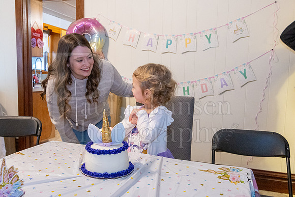 Brinley's 3rd Birthday Party 2-9-2025-1733