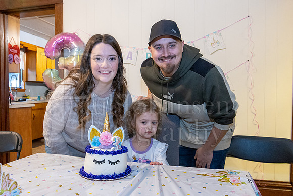 Brinley's 3rd Birthday Party 2-9-2025-1699
