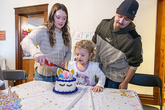 Brinley's 3rd Birthday Party 2-9-2025-1711