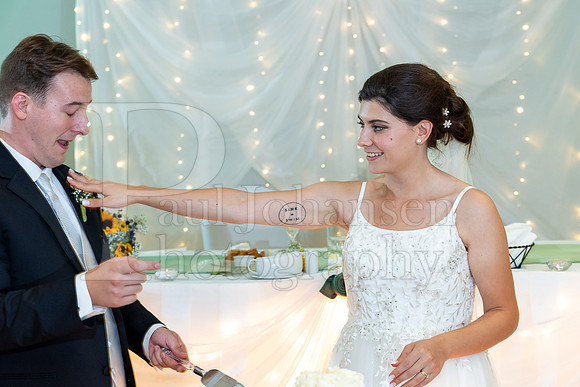 Delehanty Wedding 3-2024-1537