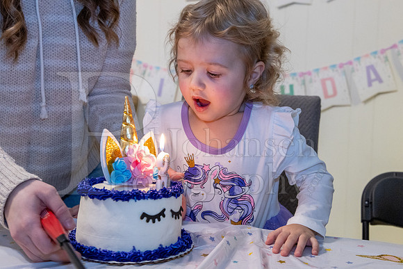Brinley's 3rd Birthday Party 2-9-2025-1717