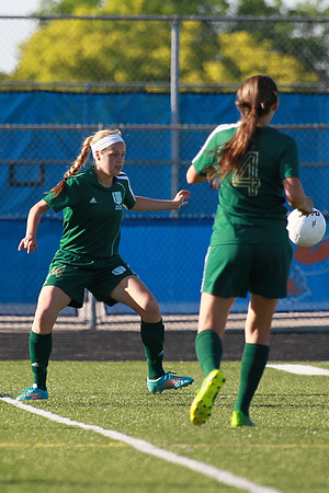 Boylan Girls Varsity Soccer vs Lk Forest SuperSectional 6-3-2014-1471