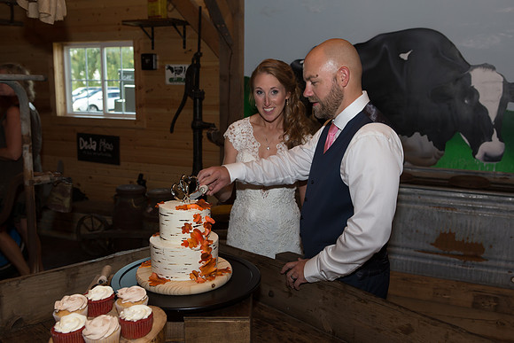 Bauman Stith Wedding 7-15-2017-1818