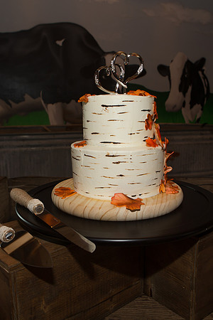 Bauman Stith Wedding 7-15-2017-1539