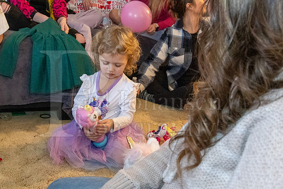 Brinley's 3rd Birthday Party 2-9-2025-1674
