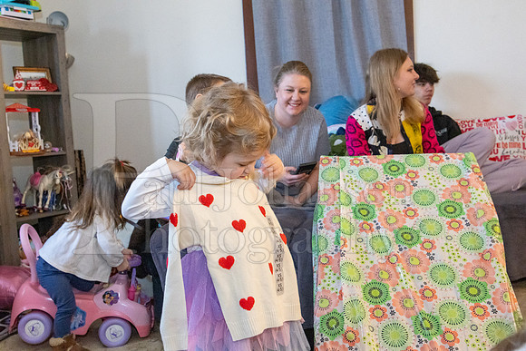 Brinley's 3rd Birthday Party 2-9-2025-1631