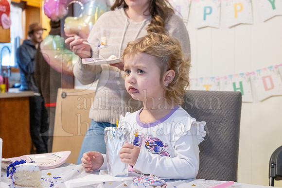 Brinley's 3rd Birthday Party 2-9-2025-1767