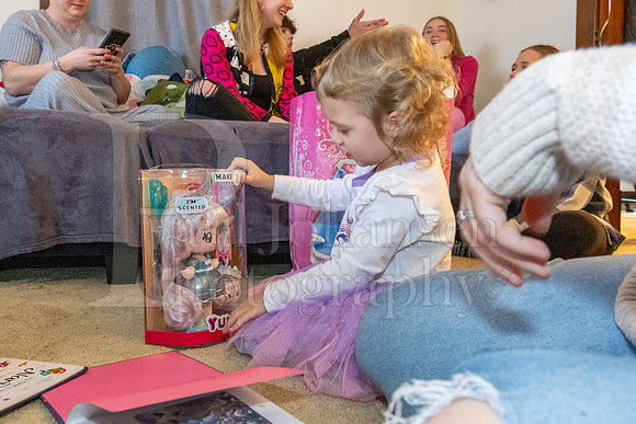 Brinley's 3rd Birthday Party 2-9-2025-1659