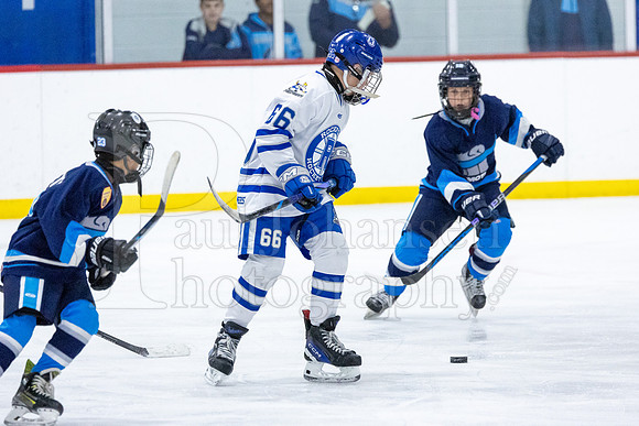 Rockford Hockey Club vs Mammoth 10-27-2024-0318